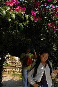 闪婚后，贺总夜夜低哑诱哄姜翩然贺池_闪婚后，贺总夜夜低哑诱哄最新章节在线阅读