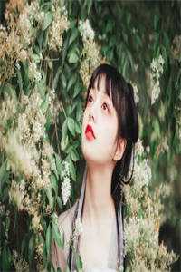 蛇王太凶猛：吾妃不要跑