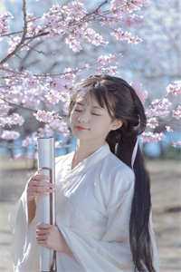 宋总别虐了，夫人她要二婚了