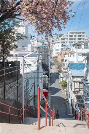 黑心兽医
