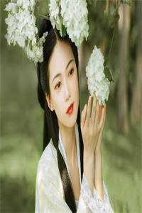 山间小白