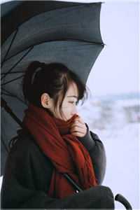 陈凡陈月陈雪是什么小说的主角
