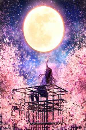 戚芷兰江旻辞