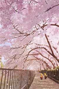 倾世桃花诺