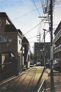 末世天灾，我在家里建了避难所