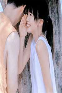 重生七零：上门女婿他崛起了