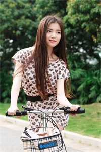 三国征服者