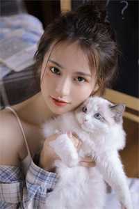向晚陈景尧