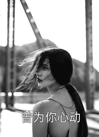 引凤台小说全集